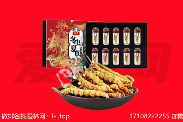 黄南回收虫草.jpg
